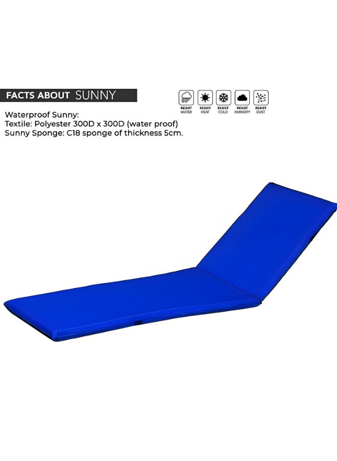 Marcolo Sun Lounger with Wheels | Heavy-Duty Plastic | All-Weather, UV-Resistant, Ergonomic Reclining Chair for Outdoor Use at Beaches, Pools, and Resorts, White (With-Arms With Blue Cushion)  - Image 5