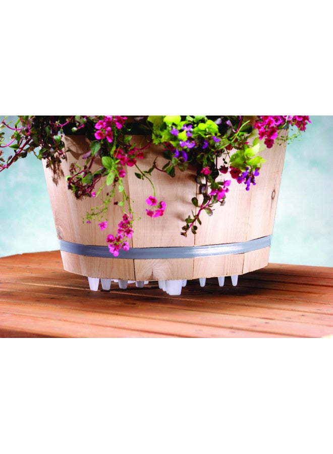 Bosmere, 12", Clear S10440 Down Under Plant Stand