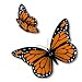AK Wall Art Monarch Butterflies Set of 2 Vinyl Sticker Car Window Bumper Laptop Select Size - Image 2