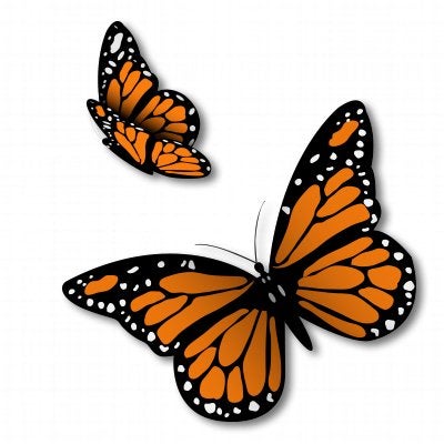 AK Wall Art Monarch Butterflies Set of 2 Vinyl Sticker Car Window Bumper Laptop Select Size - Image 1