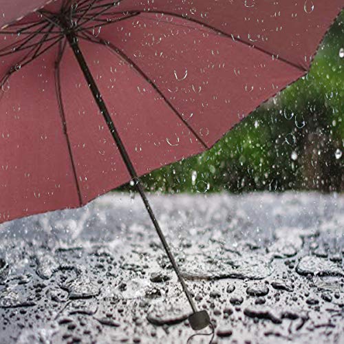KEKEMI 3 Fold Manual Plain Sun & Rain Umbrella for Men & Women (Pack of 1) - Image 5