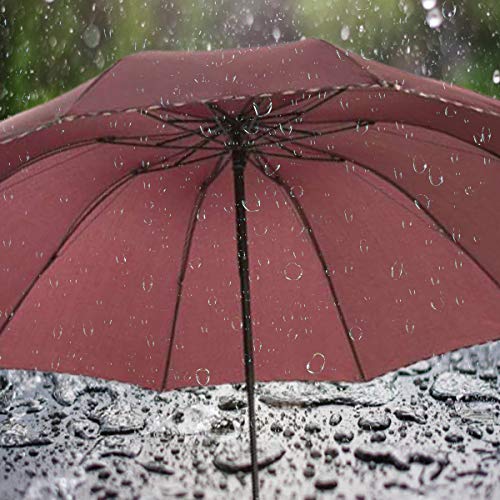 KEKEMI 3 Fold Manual Plain Sun & Rain Umbrella for Men & Women (Pack of 1) - Image 4