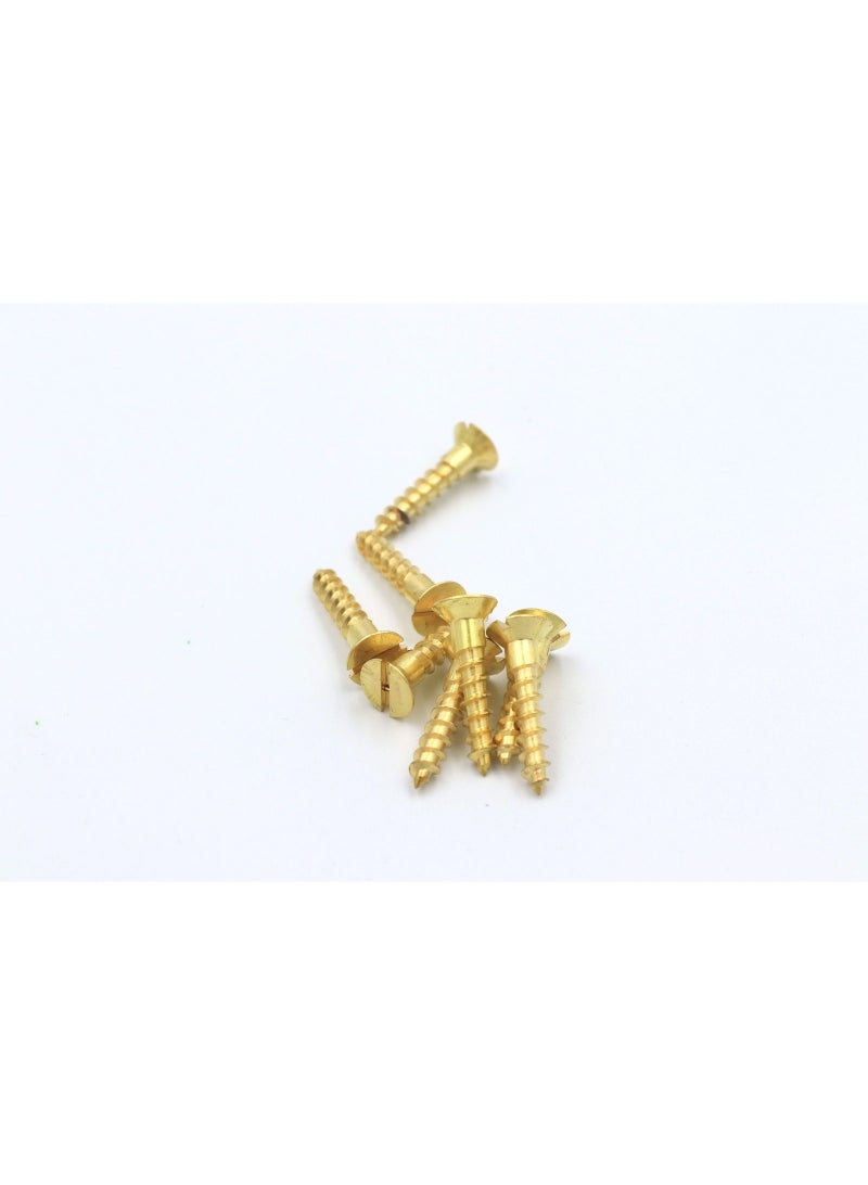 Speedex Wood Screw Brass Slotted Flat Head 1" x 10 - 12pcs