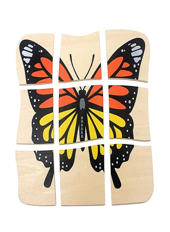 Gudong Toddler Montessori Science Toys Life Cycle of Butterfly Grow up 3D Puzzle Panel Preschool Infant Animals & Nature Kindergarten Butterfly Growth Puzzle - Image 2