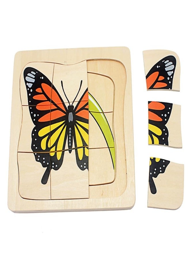 Gudong Toddler Montessori Science Toys Life Cycle of Butterfly Grow up 3D Puzzle Panel Preschool Infant Animals & Nature Kindergarten Butterfly Growth Puzzle - Image 3