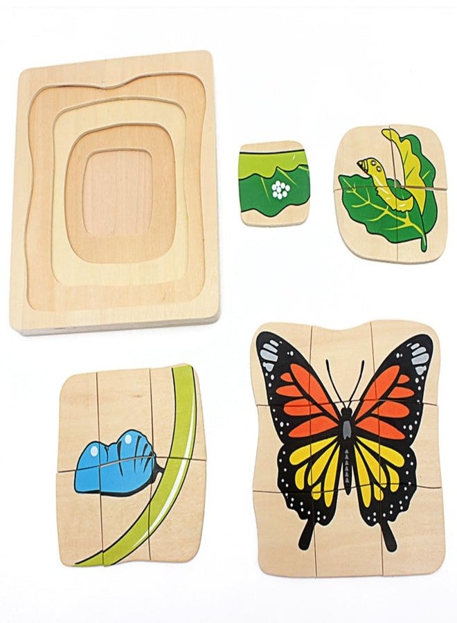 Gudong Toddler Montessori Science Toys Life Cycle of Butterfly Grow up 3D Puzzle Panel Preschool Infant Animals & Nature Kindergarten Butterfly Growth Puzzle - Image 5