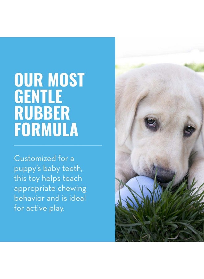 KONG Puppy - Natural Teething Rubber Chew Toy for Dogs - Stuffable Dog Toy for Extended Playtime - Chew & Fetch Toy for Puppies - for Medium Puppies - Blue - Image 3