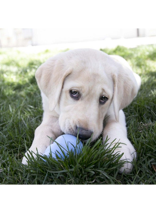 KONG Puppy - Natural Teething Rubber Chew Toy for Dogs - Stuffable Dog Toy for Extended Playtime - Chew & Fetch Toy for Puppies - for Medium Puppies - Blue - Image 2