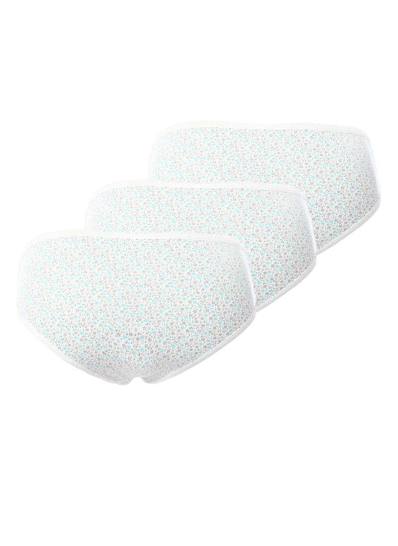 REDCOTTON Underwear Women brief underwear Panty Pack (3)  - Image 5