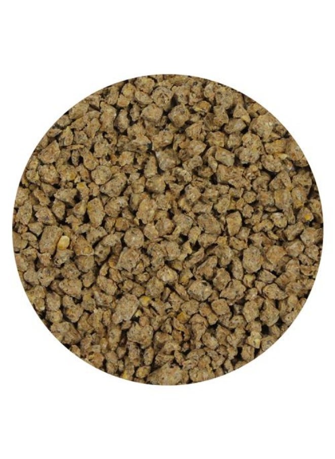EXOTIC NUTRITION Mealworm Chow 1lb  - Image 2