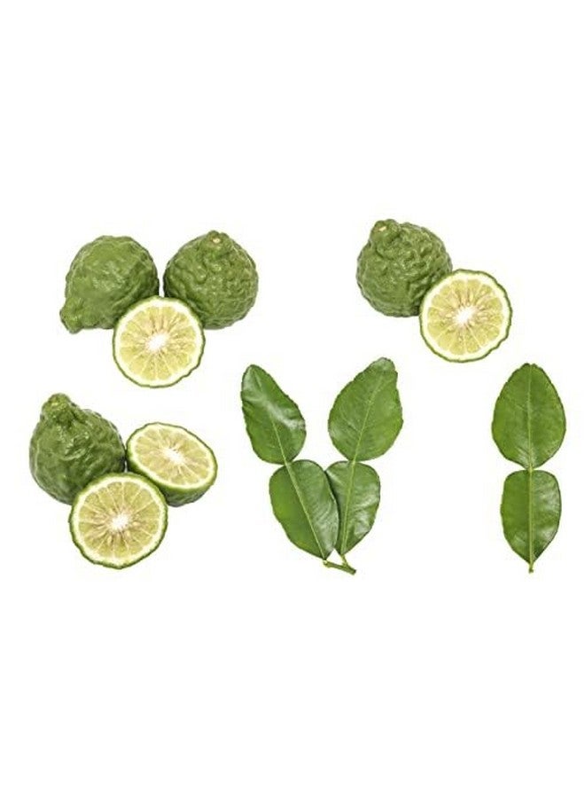 Young Living Bergamot Essential Oil 15Ml | Aromatherapy Diffuser | Organic, Vegan & Gluten Free | Relaxing & Calming | Has A Cleansing & Purifying Properties | Wellness Support - Image 4