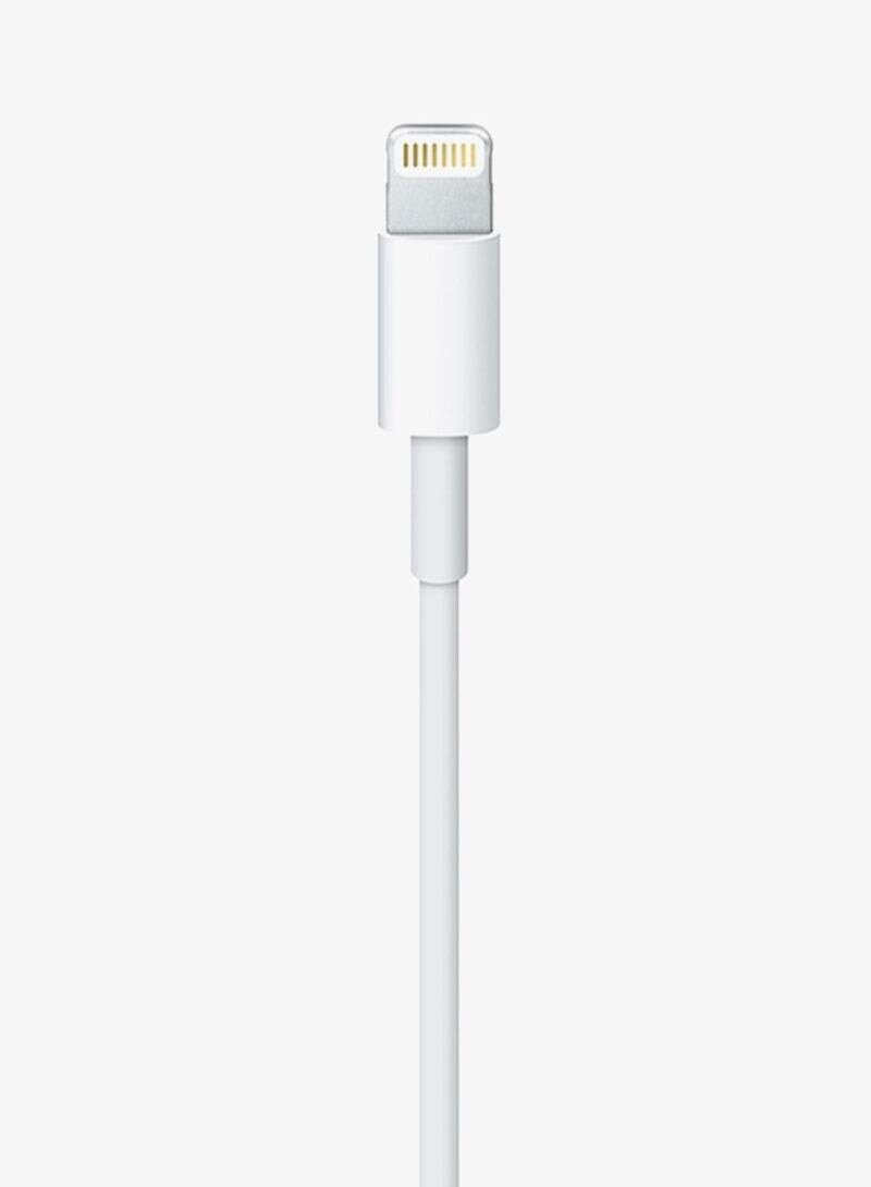 Lightning To USB-C Cable 2 Meter - Image 3