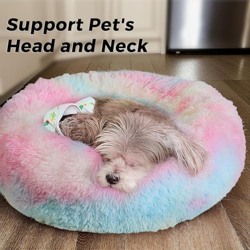ZEXSAZONE Round Donut Pet Bed for Cats and Puppies Dogs Mat, Cozy and Plush Raised Bedside Support, Both Summer Sides Use like 2 in One, Washable, Sizes for Small, Medium & Large Pets.(Small, Rainbow) - Image 2