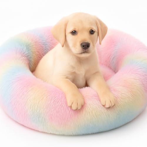 ZEXSAZONE Round Donut Pet Bed for Cats and Puppies Dogs Mat, Cozy and Plush Raised Bedside Support, Both Summer Sides Use like 2 in One, Washable, Sizes for Small, Medium & Large Pets.(Small, Rainbow) - Image 1