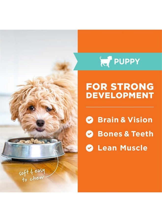 غريزة وجبات إنستينكت بابي النيئة المجففة بالتجميد، طعام كلاب جاف طبيعي، خالي من الحبوب - دجاج بدون قفص، كيس ٢٥ أونصة - Image 4