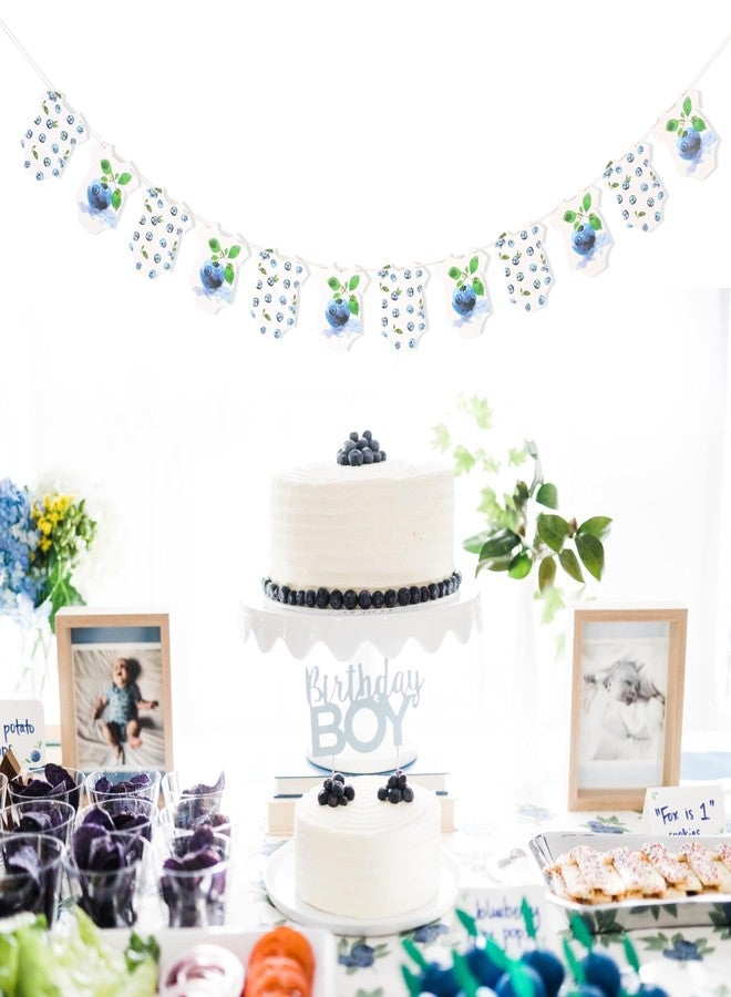 UOAOU Blueberry Bodysuit Banner - Baby Shower Decoration,Bodysuit Gender Reveal Party Banner,Blueberry Baby Shower Decorations,Berry Decor (Blueberry) - Image 3