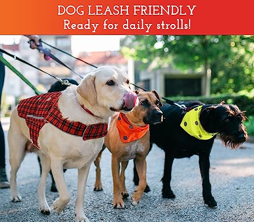 SPOT THE DOG! Reflective Dog Bandanas - Reversible High Visibility Safety Dog Accessories, Dog Collar, Fluorescent Dog Apparel for Walking, Hiking and Camping, Hunting (Blaze Orange, Red Plaid, L-XL) - Image 3