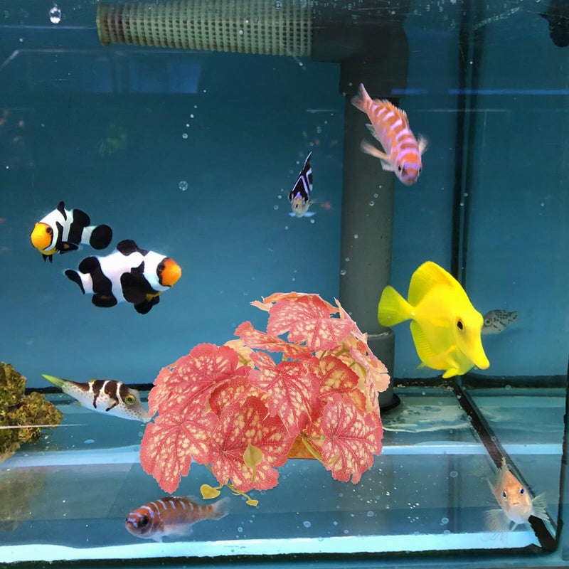 نباتات محاكاة اصطناعية من البلاستيك لدمج موائل زخرفية في البيوت الزجاجية الصغيرة (التيراريوم) والأحواض المائية. - Image 5