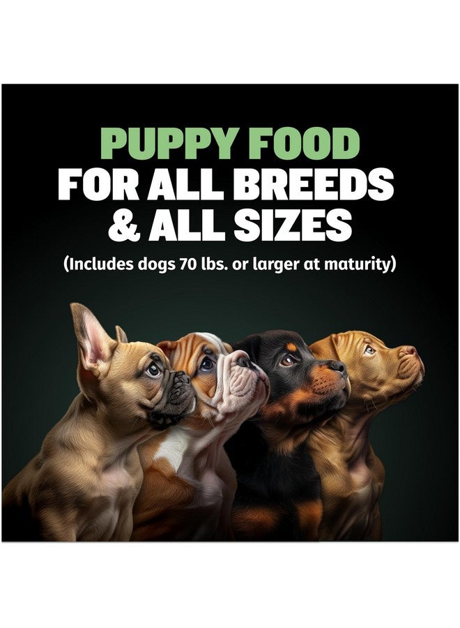 BULLY MAX Puppy Food 24/14 High Protein & Growth Formula  Dry Dog Food With Lamb And Rice For Small Dogs And Large Breed Puppies  Natural, SlowCooked, Sensitive Stomach Pet Food, 5Pound Bag - Image 4