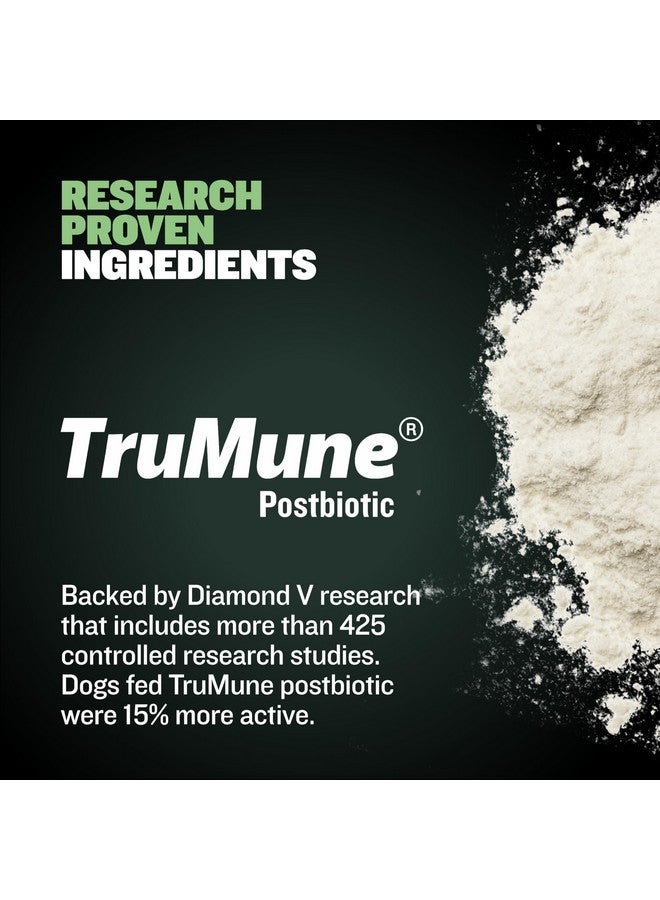 BULLY MAX Puppy Food 24/14 High Protein & Growth Formula  Dry Dog Food With Lamb And Rice For Small Dogs And Large Breed Puppies  Natural, SlowCooked, Sensitive Stomach Pet Food, 5Pound Bag - Image 5