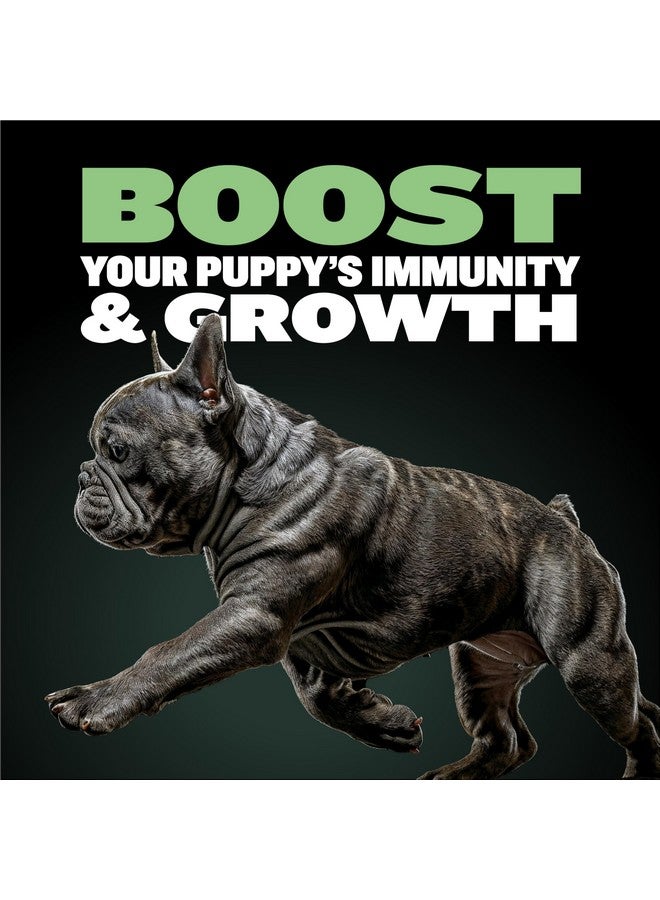 BULLY MAX Puppy Food 24/14 High Protein & Growth Formula  Dry Dog Food With Lamb And Rice For Small Dogs And Large Breed Puppies  Natural, SlowCooked, Sensitive Stomach Pet Food, 5Pound Bag - Image 3