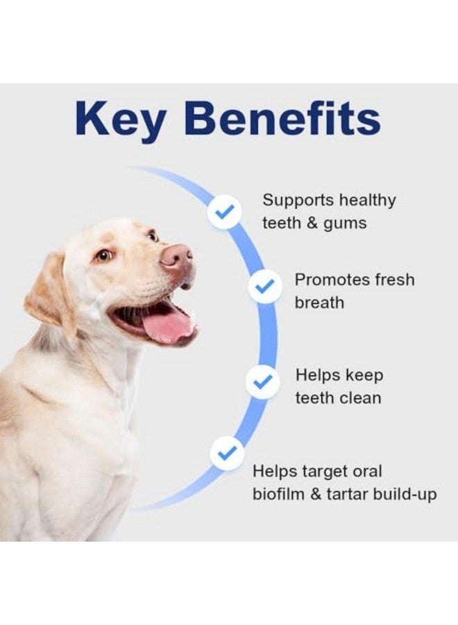 Generic Pet Tooth Cleaning Powder (Large)  - Image 2