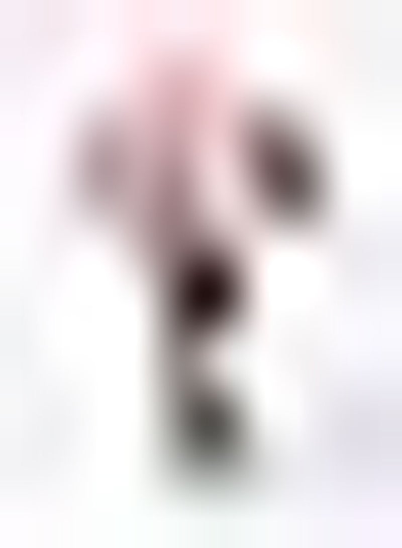 GGOOT 4Stück rosa Calla Lilien Zwiebeln mehrjährig schaffen eine andere Atmosphäre ohne zu viel Pflege dekorativer wirtschaftlicher Wert - Image 1