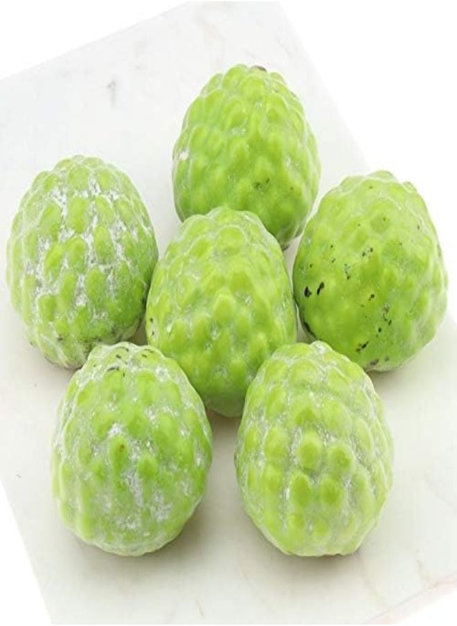 AKDC Woration Artificial Custard Apple Simulation Fake Annona Squamosa Faux Plastic Fruit Model Home Kitchen Party Table Realistic Lifelike Decor 6 Pcs Set  - Image 2