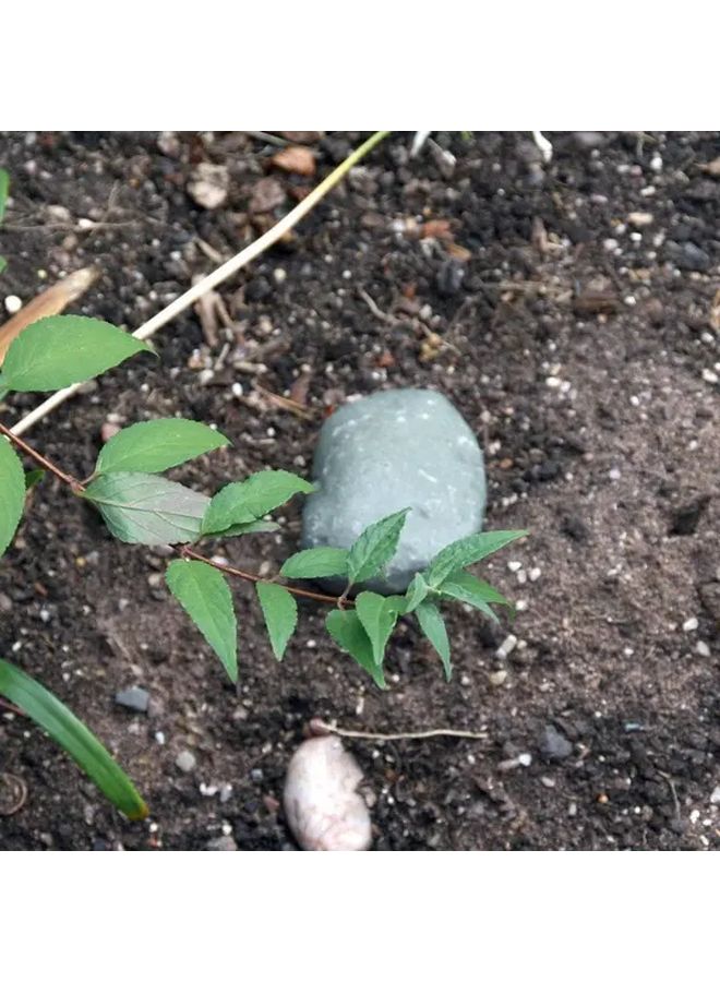 Realistic Rock Key Hider Outdoor Indoor Concealable Compartment 1pc - Image 5