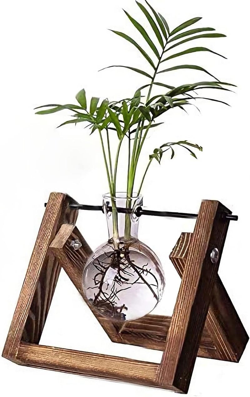 Kingbuy Plant Propagation Station Air Plant Terrarium Bulb Vase with Wooden Swivel Holder Desktop Glass Planter for Indoor Water Plants Home Office Tabletop Decor - 1 Bulb Vase - Image 1