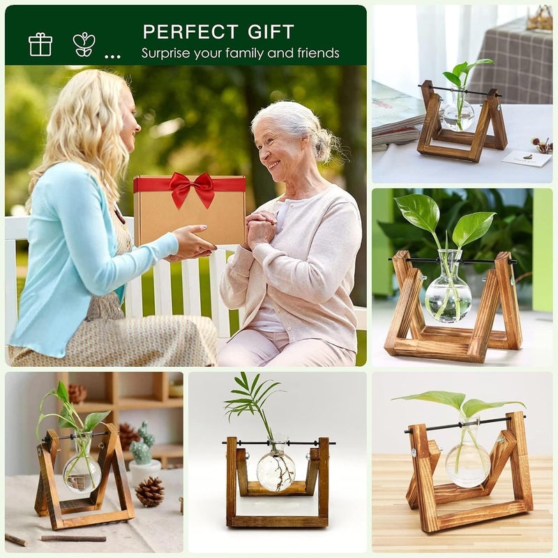 Kingbuy Plant Propagation Station Air Plant Terrarium Bulb Vase with Wooden Swivel Holder Desktop Glass Planter for Indoor Water Plants Home Office Tabletop Decor - 1 Bulb Vase - Image 2
