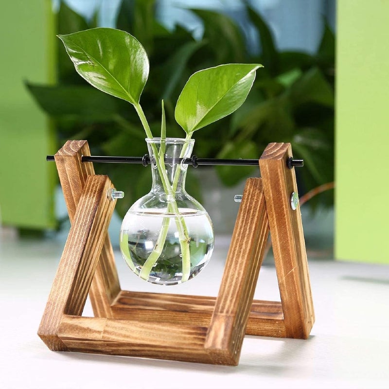 Kingbuy Plant Propagation Station Air Plant Terrarium Bulb Vase with Wooden Swivel Holder Desktop Glass Planter for Indoor Water Plants Home Office Tabletop Decor - 1 Bulb Vase - Image 4