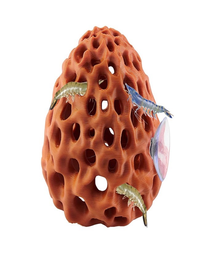 Swirge Shrimp Dome Hide, Shrimp Hides for Aquarium, Betta Fish Hideout with Suction Cup, Betta Habitat Tank Ornament Accessories, Aquarium Decor for Small Fish Guppy Hiding Resting (Brown) - Image 1