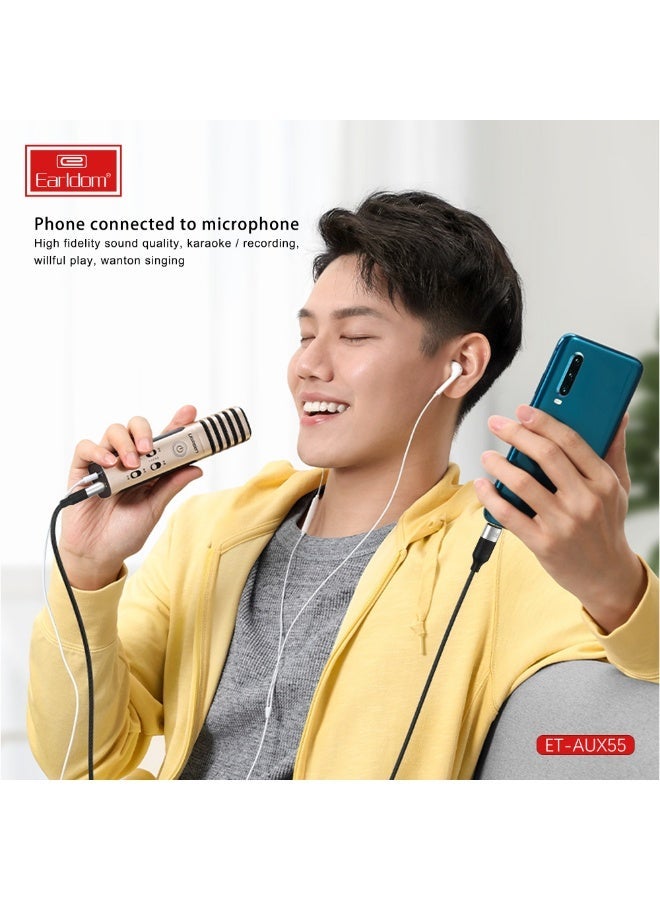 Earldom ET-AUX55 AUX to USB-C Converter Cable - Image 4