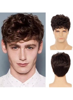 EBMINI Brown Short Curly Synthetic Men's Wig  - Image 1