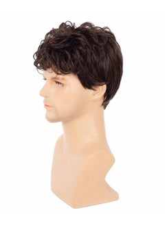 EBMINI Brown Short Curly Synthetic Men's Wig  - Image 4