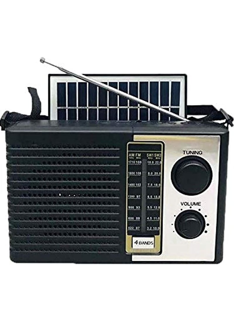 Golon - Solar Radio - Bluetooth - 4 Waves - Flash Player - Charging and Electricity - Image 1