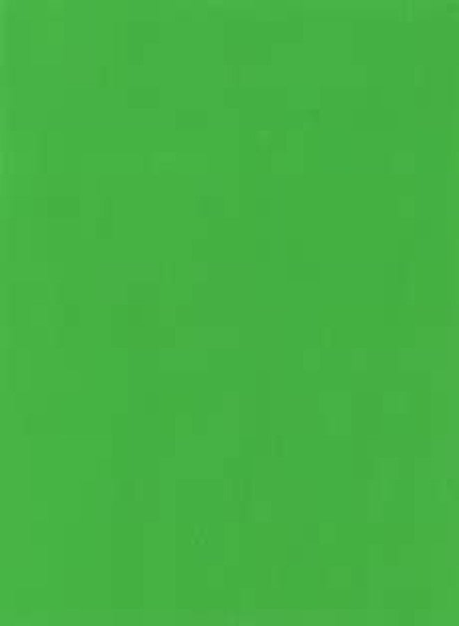 Holbein Acryla Gouache 20ml Light Green - Image 2
