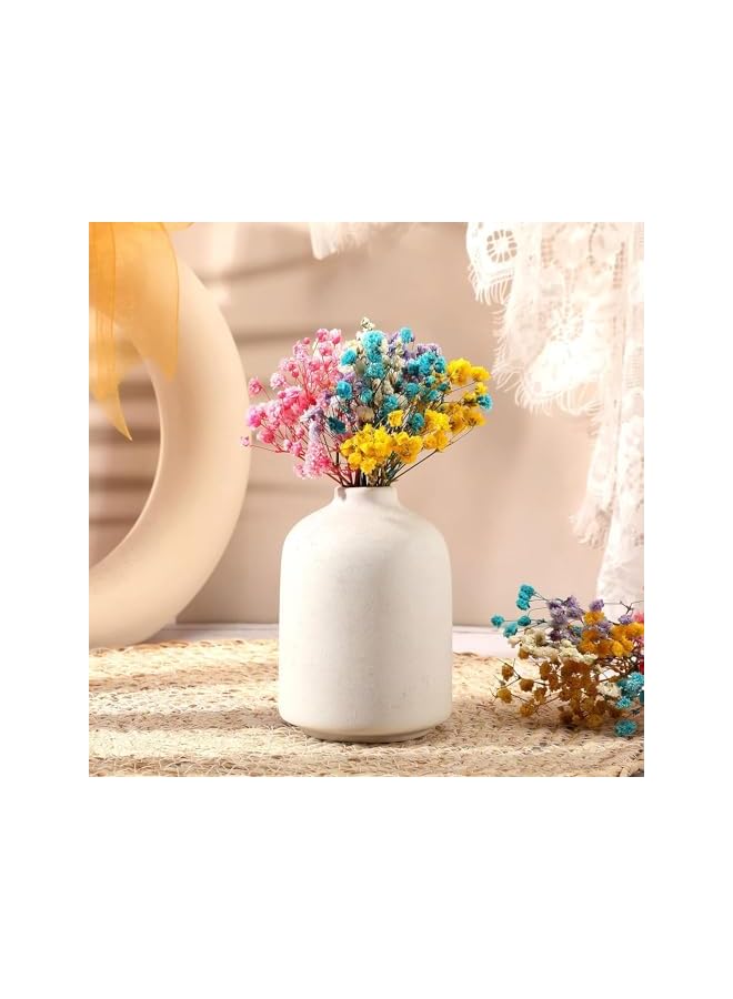 The Bros زهور نفس الطفل المجففة الصغيرة، 60 قطعة من زهور نفس الطفل المجففة زهور عاجية زهور مجففة للزهريات حفلات الزفاف المنزل المكتب الحفلات الحديقة صنع بطاقات الديكور إكليل الحرف الزهرية فن DIY - Image 4