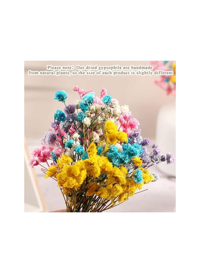 The Bros زهور نفس الطفل المجففة الصغيرة، 60 قطعة من زهور نفس الطفل المجففة زهور عاجية زهور مجففة للزهريات حفلات الزفاف المنزل المكتب الحفلات الحديقة صنع بطاقات الديكور إكليل الحرف الزهرية فن DIY - Image 2