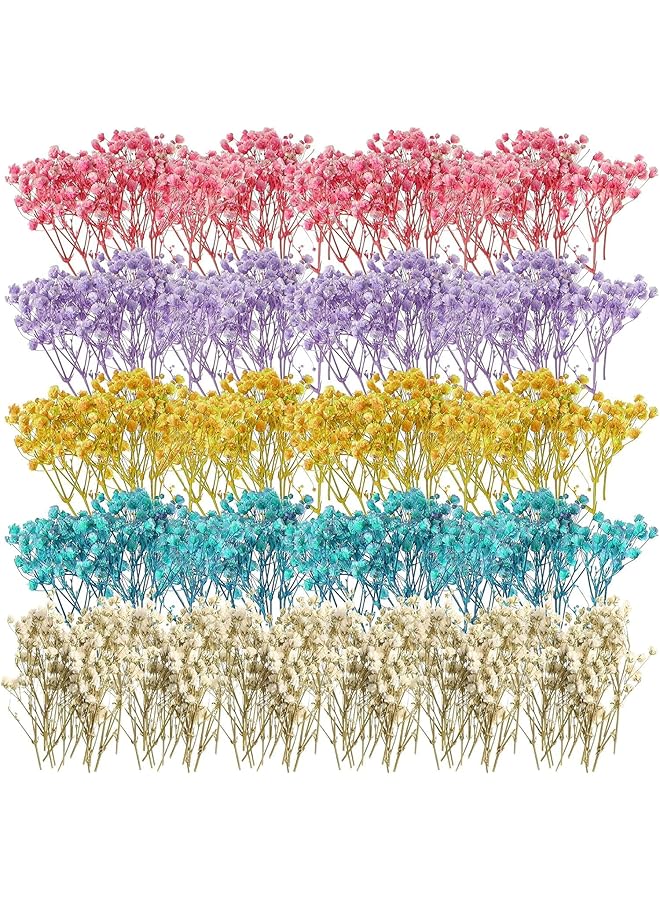 The Bros زهور نفس الطفل المجففة الصغيرة، 60 قطعة من زهور نفس الطفل المجففة زهور عاجية زهور مجففة للزهريات حفلات الزفاف المنزل المكتب الحفلات الحديقة صنع بطاقات الديكور إكليل الحرف الزهرية فن DIY - Image 1