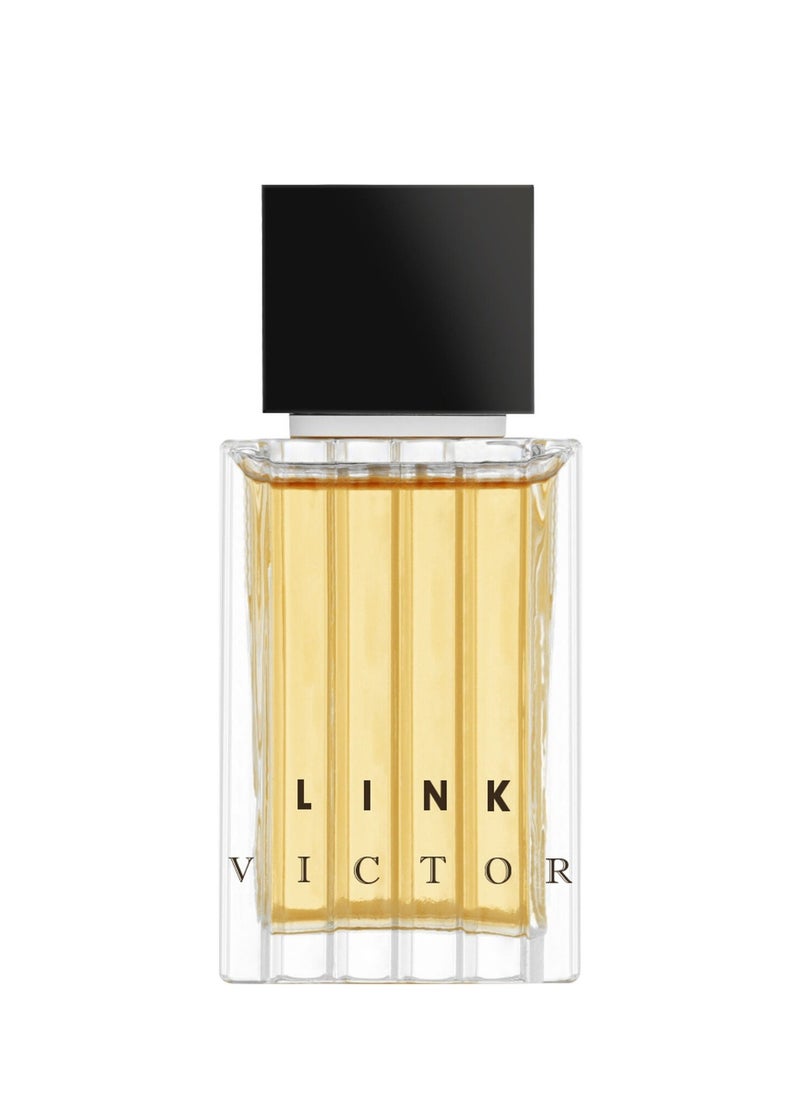 Link - Link Victor Parfum 100ml - Image 1