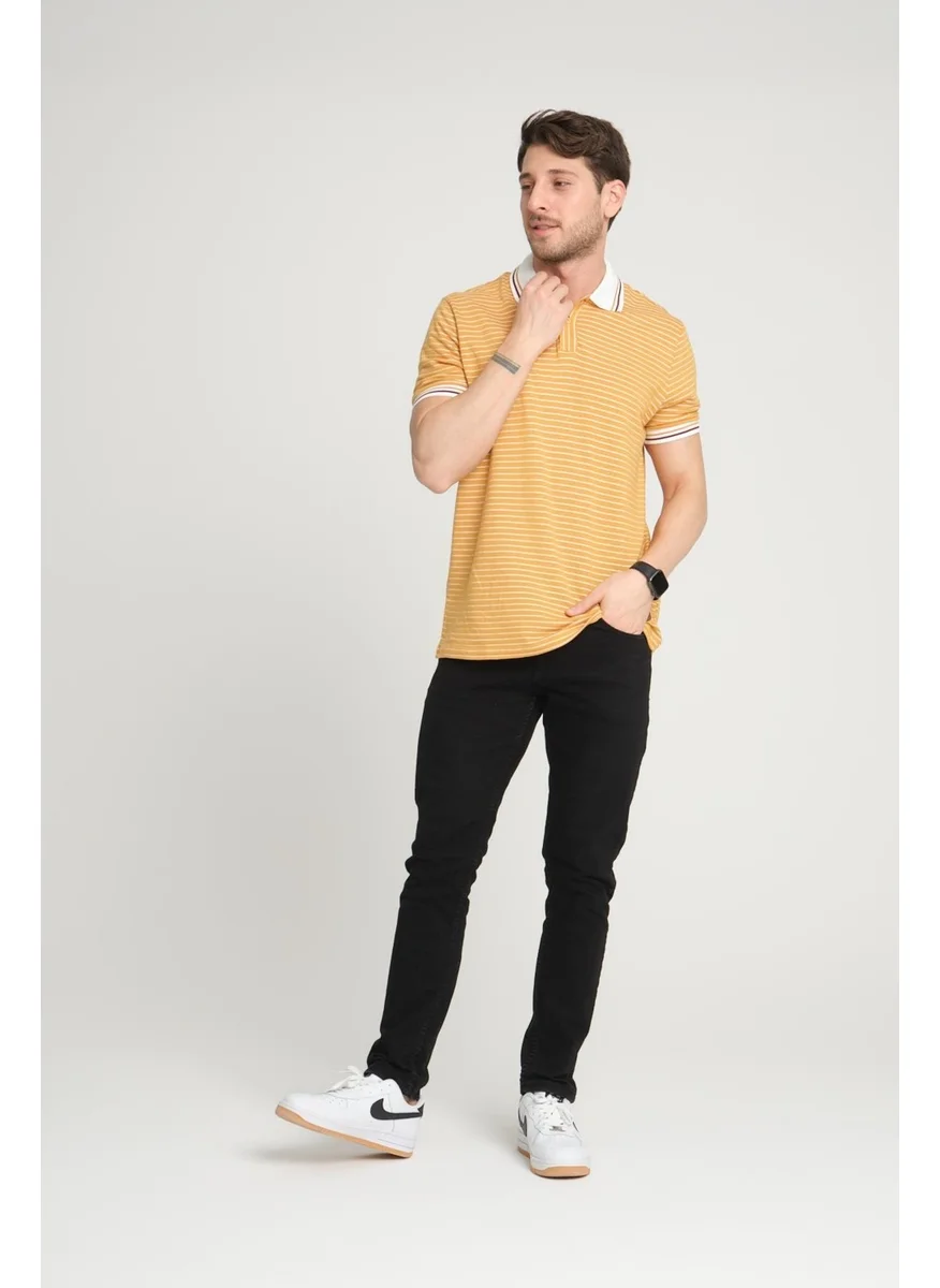 الكسندر جاردي Striped Polo Neck T-Shirt (E24-0022)