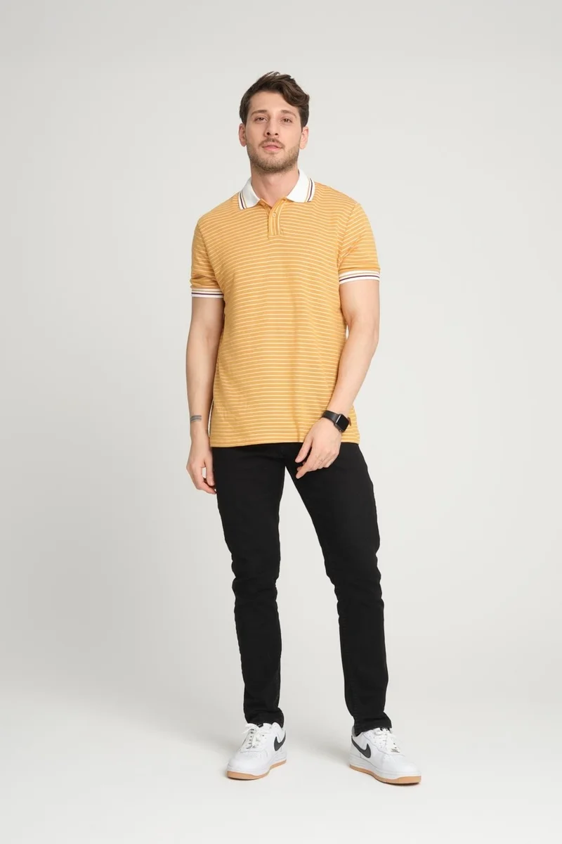 الكسندر جاردي Striped Polo Neck T-Shirt (E24-0022)