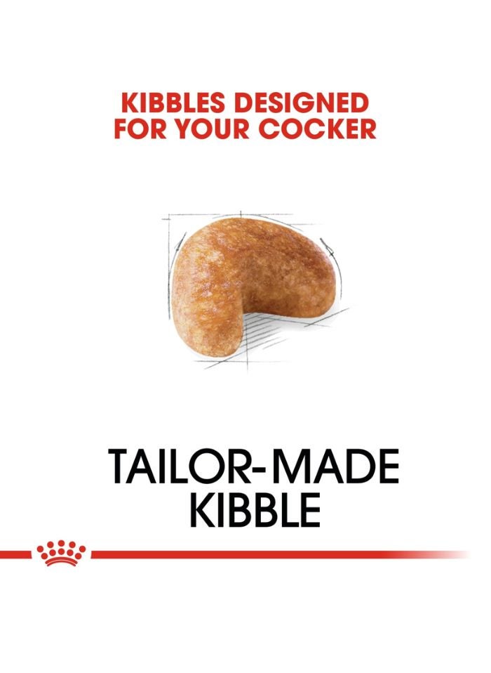 ROYAL CANIN Breed Health Nutrition Cocker Adult 3 KG - Image 2