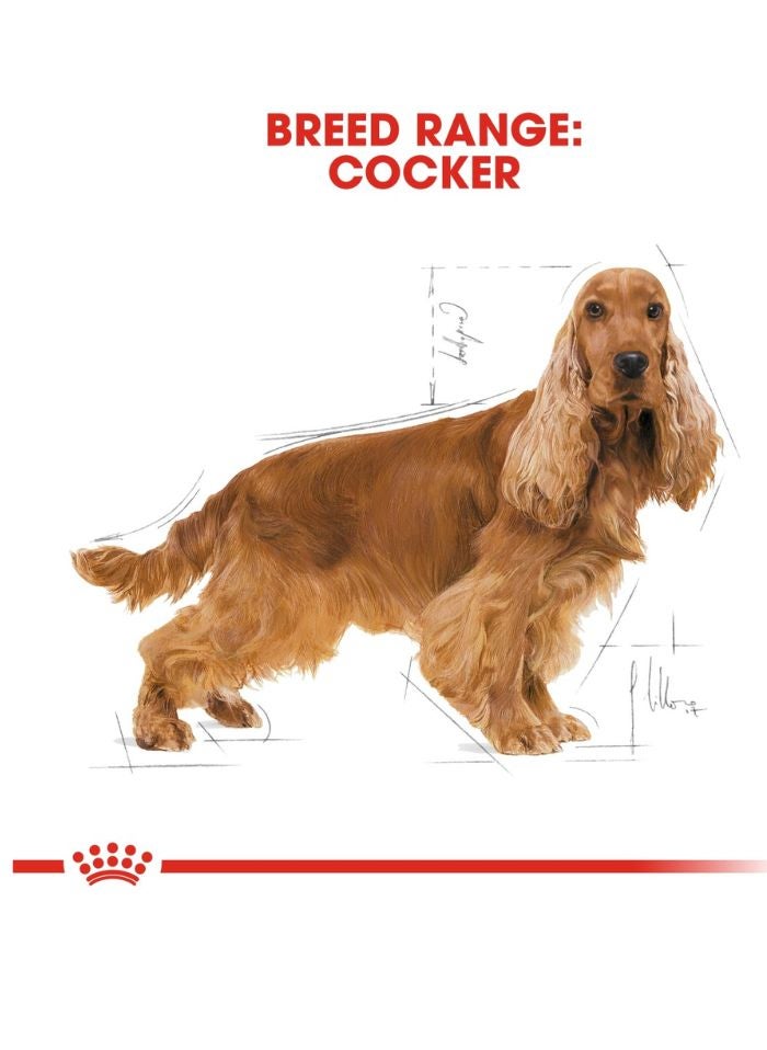 ROYAL CANIN Breed Health Nutrition Cocker Adult 3 KG - Image 5