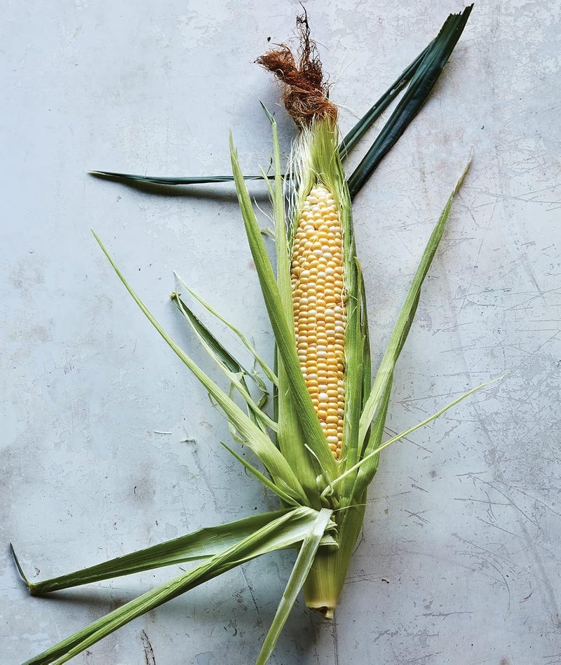 Burpee Sweetness Sweet Corn Seeds 200 seeds - Image 5