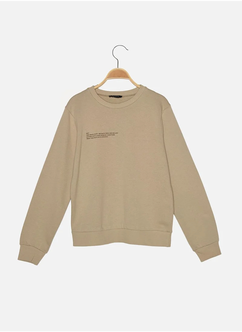 trendyol Crew Neck Knitted Sweatshirt
