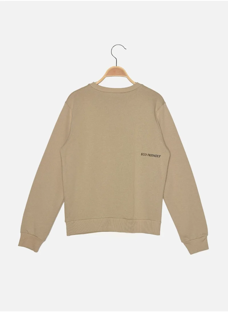trendyol Crew Neck Knitted Sweatshirt