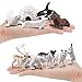 OUKEYI Mini Arctic Animals Figurines Set 18pcs Toy for Toddlers Realistic Plastic Reindeer White Whale Polar Bear Fox Wolf Figure Toy for Kids Birthday Gift - Image 4